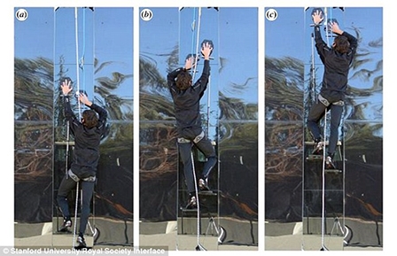 Leo vách kính như "người nhện" 

nhờ găng tay đặc biệt