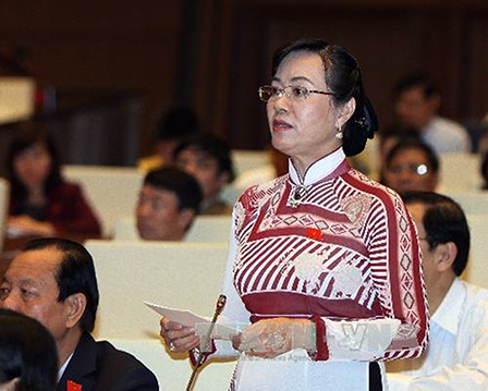 Đại biểu quốc hội cho ý kiến về dự án 
Luật tổ chức chính quyền địa phương