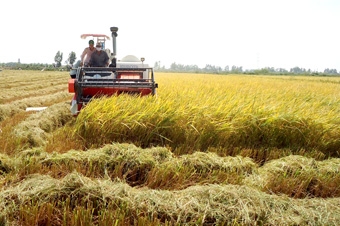 Liên kết để nâng cao giá trị sản phẩm