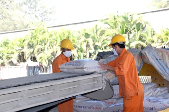 Sản lượng đạt trên 500.000 tấn