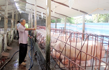 Hiệu quả từ mô hình kinh tế hộ gia đình