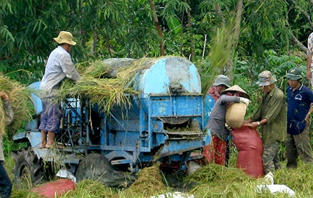 Tái cơ cấu thích ứng với 
thị trường và biến đổi khí hậu