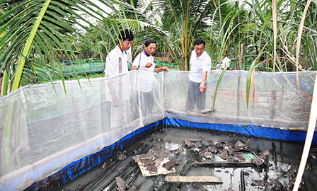 Bước tiến mới trong lãnh đạo phát triển kinh tế, nâng cao đời sống nhân dân