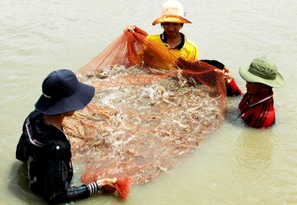 Điều kiện cần, đủ và cấp thiết