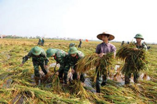 ប្រើកម្លាំងកងទ័ពបម្រើការងារមនុស្សធម៌