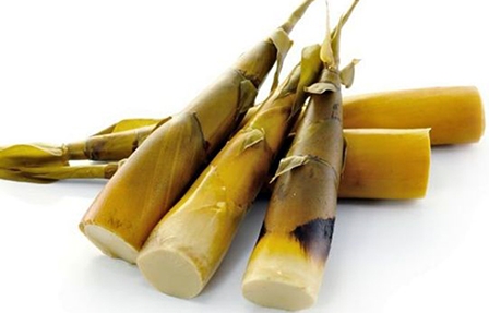 Lợi ích tuyệt vời từ măng tre