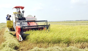 Hãy đến Sóc Trăng