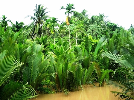 Buổi đầu khẩn hoang