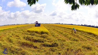 Đối mặt nguy cơ “kép”