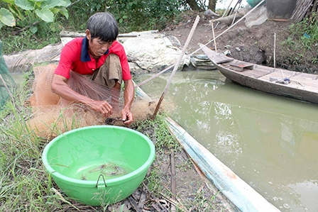 Nuôi thủy sản 
cần gắn với nhu cầu thị trường