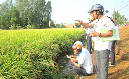 Liên kết chuyển đổi sản xuất nông nghiệp