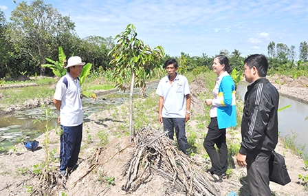 Tập trung giúp nông dân 
nâng cao hiệu quả sản xuất