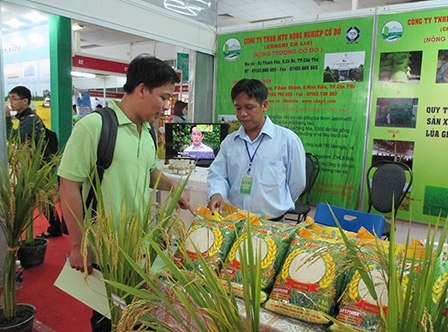 Ký kết 250 hợp đồng ghi nhớ, thỏa thuận hợp tác