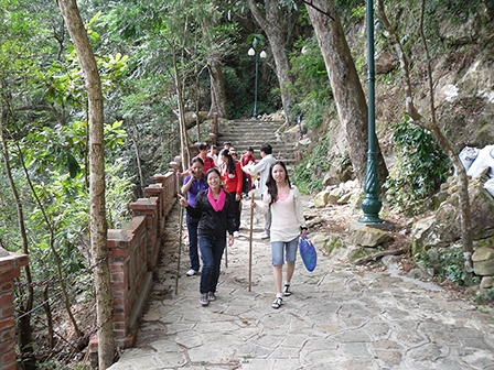 Cây ngàn và thác nguồn Yên Tử