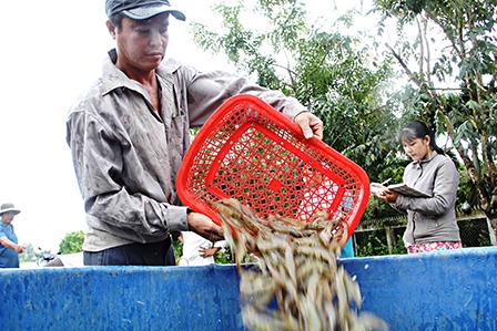 Khai thác tiềm năng, 
vững tin hội nhập
