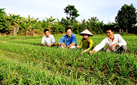 Chuyển biến mới ở Đảng bộ phường Thới An