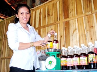 “Quả ngọt” rừng tràm