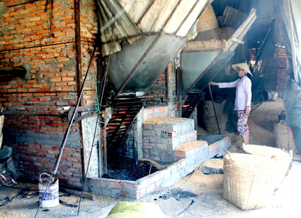 Hệ lụy từ việc giá trấu 
bất ngờ “leo thang”