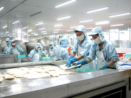 Thích ứng để tái cơ cấu ngành gạo và cá tra