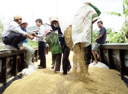 “Cánh đồng lớn” còn quá “nhỏ”