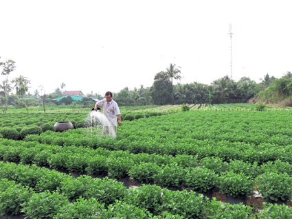 Tích cực chuẩn bị hàng hóa Tết!