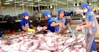 NHIỀU CÁI LỢI TỪ TĂNG TỶ GIÁ NGAY ĐẦU NĂM