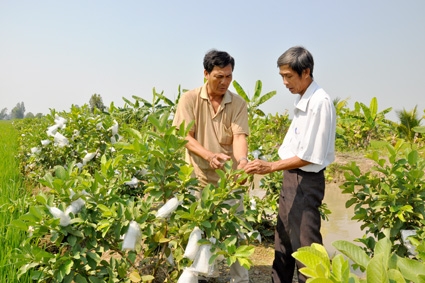 NĂNG ĐỘNG LÃNH ĐẠO PHÁT TRIỂN KINH TẾ