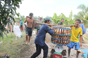 Ngành công thương Cần Thơ 
phấn đấu đạt tăng trưởng cao