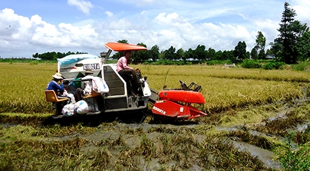 Phát huy sức mạnh liên kết