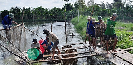 Đưa kinh tế tập thể về đúng bản chất!