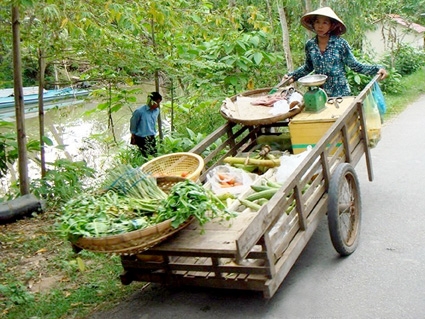 Vẽ lại bản đồ tín dụng chính sách Tây Nam Bộ