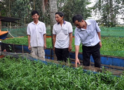 NÂNG CAO NĂNG LỰC LÃNH ĐẠO CỦA CÁC CẤP ỦY ĐẢNG, ĐƯA THÀNH PHỐ PHÁT TRIỂN NHANH, BỀN VỮNG