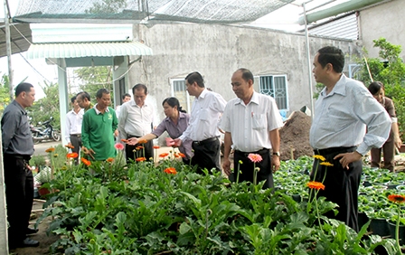 “Mùa vàng” của những nông dân sáng tạo