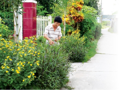 Nông thôn mới đơm hoa