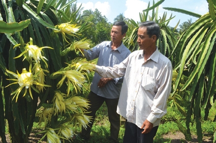 Những giám đốc “hai lúa” năng động!