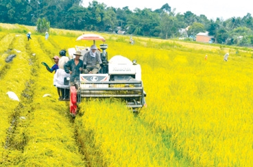 Kỳ vọng lớn từ đồng đất