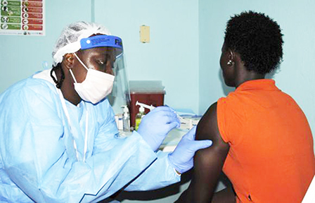 Thảo dược trong Đông y có khả năng ngăn chặn vi-rút Ebola