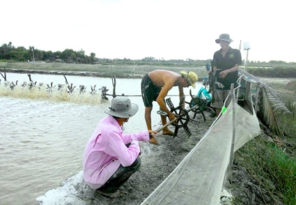 Bất ổn nuôi tôm công nghiệp ngoài quy hoạch