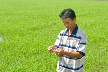 Hà Minh Triều - Hình mẫu giám đốc 
hợp tác xã nông nghiệp năng động