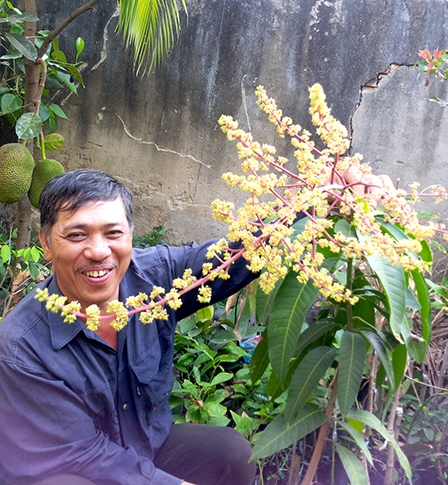 Kỳ lạ cây xoài trồng 3 tháng
ra rất nhiều bông