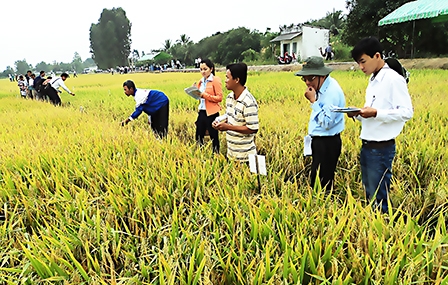 Giải quyết từ gốc!