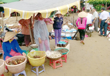 Hoang sơ biển cồn Bửng