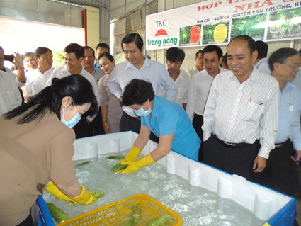 Phát triển nông nghiệp
chuyên canh chất lượng cao