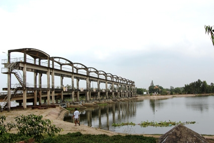 Cấp bách chống hạn mặn