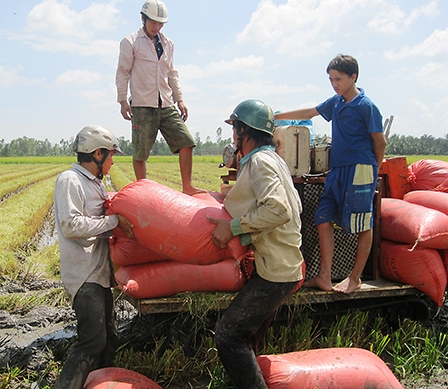 Cần đặt trong mối tương quan liên kết vùng