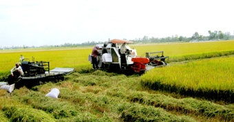 Tăng lợi nhuận cho sản xuất lúa gạo
