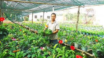 Tìm cơ hội từ “đáy kim tự tháp”