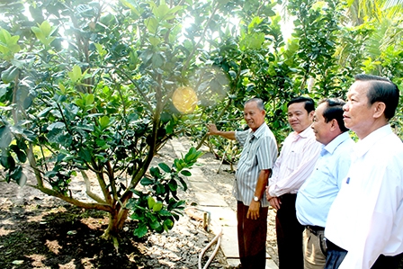 Tham quan học tập kinh nghiệm mô hình xây dựng nông thôn mới tại tỉnh Bến Tre