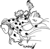 Qua miền cỏ dại