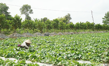 “Mưa dầm thấm đất”!